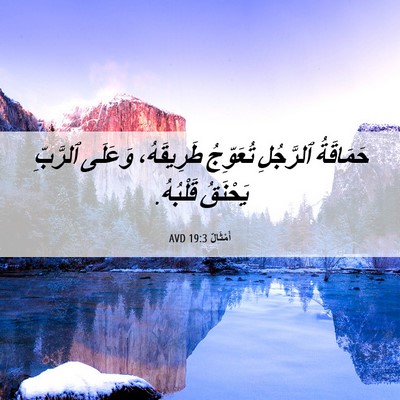 Picture 06 - أَمْثَالٌ 19:3 AVD - حَمَاقَةُ ٱلرَّجُلِ - Bible Verse Picture