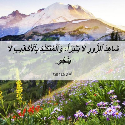 Picture 06 - أَمْثَالٌ 19:5 AVD - شَاهِدُ ٱلزُّورِ لَا - Bible Verse Picture