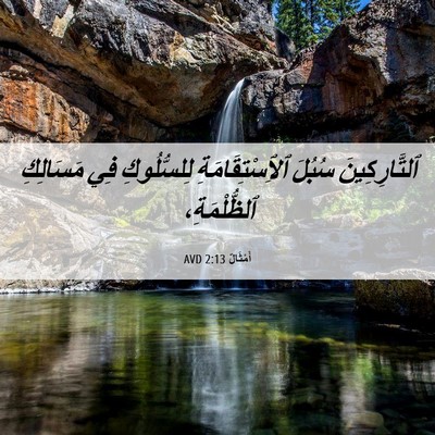 Picture 06 - أَمْثَالٌ 2:13 AVD - ٱلتَّارِكِينَ سُبُلَ - Bible Verse Picture