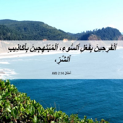 Picture 06 - أَمْثَالٌ 2:14 AVD - ٱلْفَرِحِينَ بِفَعْلِ - Bible Verse Picture