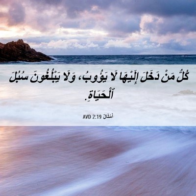 Picture 06 - أَمْثَالٌ 2:19 AVD - كُلُّ مَنْ دَخَلَ - Bible Verse Picture