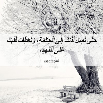 Picture 06 - أَمْثَالٌ 2:2 AVD - حَتَّى تُمِيلَ أُذْنَكَ - Bible Verse Picture