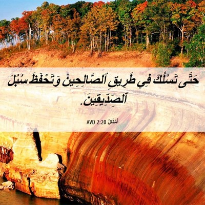 Picture 06 - أَمْثَالٌ 2:20 AVD - حَتَّى تَسْلُكَ فِي - Bible Verse Picture