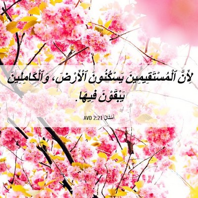 Picture 06 - أَمْثَالٌ 2:21 AVD - لِأَنَّ ٱلْمُسْتَقِيمِينَ - Bible Verse Picture