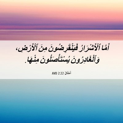 Picture 06 - أَمْثَالٌ 2:22 AVD - أَمَّا ٱلْأَشْرَارُ - Bible Verse Picture