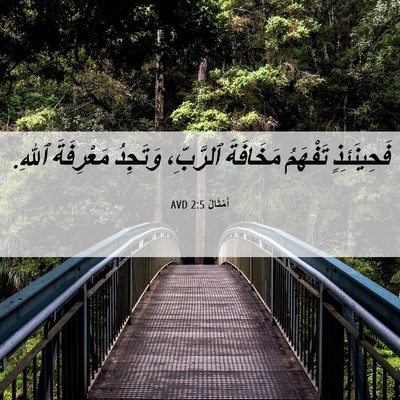 Picture 06 - أَمْثَالٌ 2:5 AVD - فَحِينَئِذٍ تَفْهَمُ - Bible Verse Picture