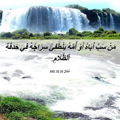 Picture 06 - أَمْثَالٌ 20:20 AVD - مَنْ سَبَّ أَبَاهُ أَوْ - Bible Verse Picture