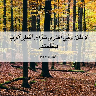 Picture 06 - أَمْثَالٌ 20:22 AVD - لَا تَقُلْ: «إِنِّي - Bible Verse Picture
