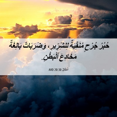 Picture 06 - أَمْثَالٌ 20:30 AVD - حُبُرُ جُرْحٍ مُنَقِّيَةٌ - Bible Verse Picture
