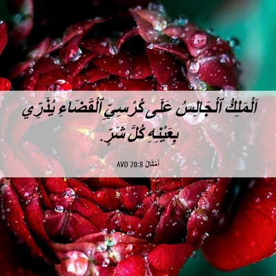 Picture 06 - أَمْثَالٌ 20:8 AVD - اَلْمَلِكُ ٱلْجَالِسُ - Bible Verse Picture