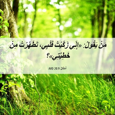 Picture 06 - أَمْثَالٌ 20:9 AVD - مَنْ يَقُولُ: «إِنِّي - Bible Verse Picture