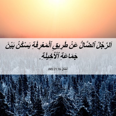 Picture 06 - أَمْثَالٌ 21:16 AVD - اَلرَّجُلُ ٱلضَّالُّ عَنْ - Bible Verse Picture