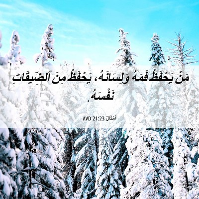Picture 06 - أَمْثَالٌ 21:23 AVD - مَنْ يَحْفَظُ فَمَهُ - Bible Verse Picture