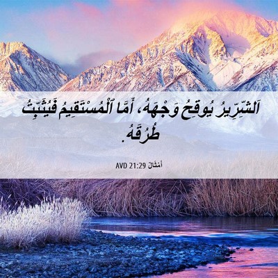 Picture 06 - أَمْثَالٌ 21:29 AVD - اَلشِّرِّيرُ يُوقِحُ - Bible Verse Picture