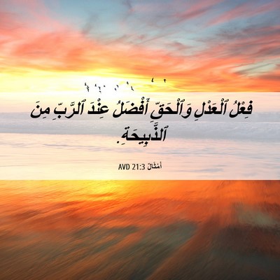 Picture 06 - أَمْثَالٌ 21:3 AVD - فِعْلُ ٱلْعَدْلِ - Bible Verse Picture