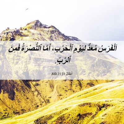 Picture 06 - أَمْثَالٌ 21:31 AVD - اَلْفَرَسُ مُعَدٌّ - Bible Verse Picture