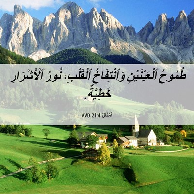 Picture 06 - أَمْثَالٌ 21:4 AVD - طُمُوحُ ٱلْعَيْنَيْنِ - Bible Verse Picture