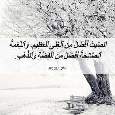Picture 06 - أَمْثَالٌ 22:1 AVD - اَلصِّيتُ أَفْضَلُ مِنَ - Bible Verse Picture