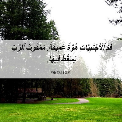 Picture 06 - أَمْثَالٌ 22:14 AVD - فَمُ ٱلْأَجْنَبِيَّاتِ - Bible Verse Picture