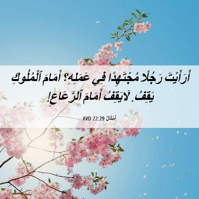 Picture 06 - أَمْثَالٌ 22:29 AVD - أَرَأَيْتَ رَجُلًا - Bible Verse Picture