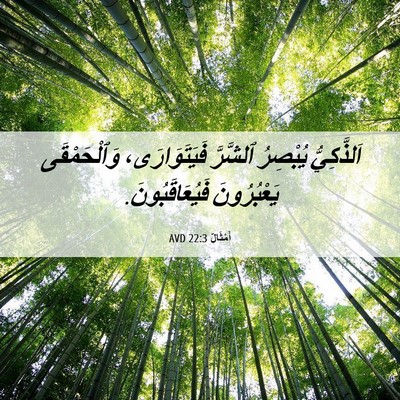 Picture 06 - أَمْثَالٌ 22:3 AVD - اَلذَّكِيُّ يُبْصِرُ - Bible Verse Picture