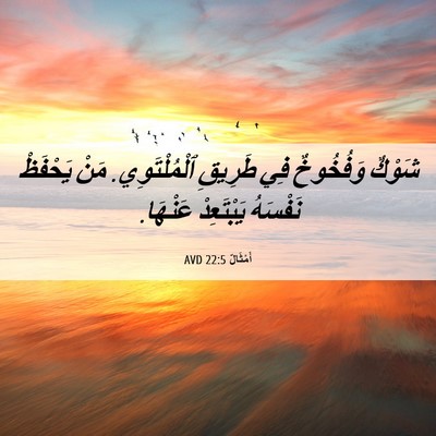 Picture 06 - أَمْثَالٌ 22:5 AVD - شَوْكٌ وَفُخُوخٌ فِي - Bible Verse Picture