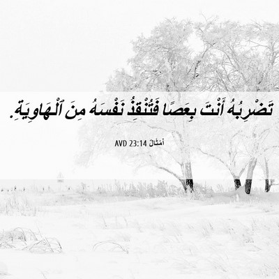Picture 06 - أَمْثَالٌ 23:14 AVD - تَضْرِبُهُ أَنْتَ بِعَصًا - Bible Verse Picture