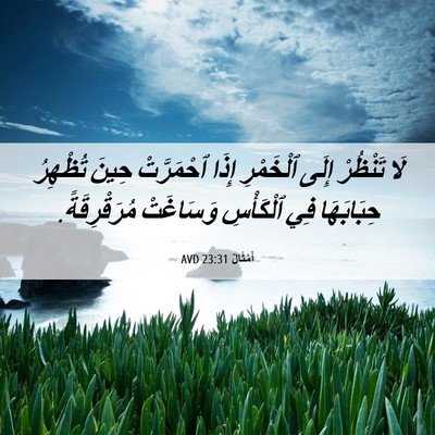 Picture 06 - أَمْثَالٌ 23:31 AVD - لَا تَنْظُرْ إِلَى - Bible Verse Picture