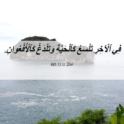 Picture 06 - أَمْثَالٌ 23:32 AVD - فِي ٱلْآخِرِ تَلْسَعُ - Bible Verse Picture