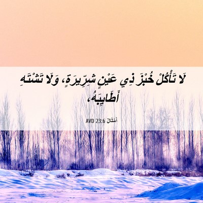 Picture 06 - أَمْثَالٌ 23:6 AVD - لَا تَأْكُلْ خُبْزَ ذِي - Bible Verse Picture