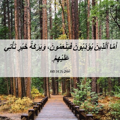 Picture 06 - أَمْثَالٌ 24:25 AVD - أَمَّا ٱلَّذِينَ - Bible Verse Picture