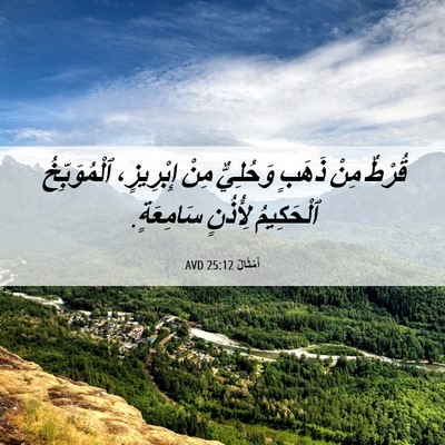 Picture 06 - أَمْثَالٌ 25:12 AVD - قُرْطٌ مِنْ ذَهَبٍ - Bible Verse Picture