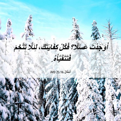 Picture 06 - أَمْثَالٌ 25:16 AVD - أَوَجَدْتَ عَسَلًا؟ - Bible Verse Picture