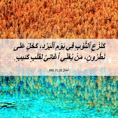 Picture 06 - أَمْثَالٌ 25:20 AVD - كَنَزْعِ ٱلثَّوْبِ فِي - Bible Verse Picture
