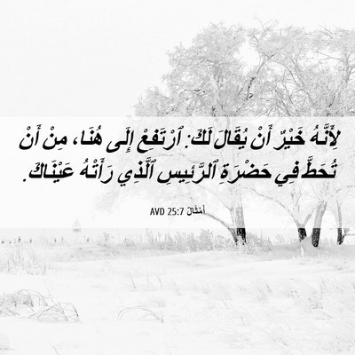 Picture 06 - أَمْثَالٌ 25:7 AVD - لِأَنَّهُ خَيْرٌ أَنْ - Bible Verse Picture