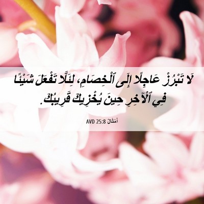Picture 06 - أَمْثَالٌ 25:8 AVD - لَا تَبْرُزْ عَاجِلًا - Bible Verse Picture