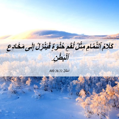Picture 06 - أَمْثَالٌ 26:22 AVD - كَلَامُ ٱلنَّمَّامِ - Bible Verse Picture