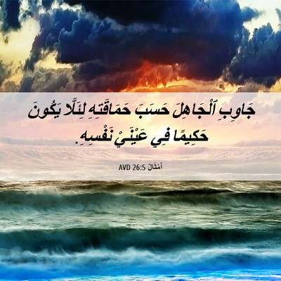 Picture 06 - أَمْثَالٌ 26:5 AVD - جَاوِبِ ٱلْجَاهِلَ حَسَبَ - Bible Verse Picture