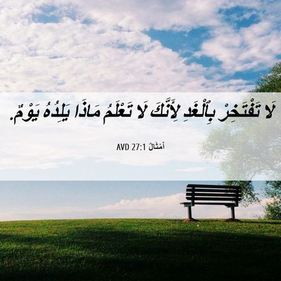 Picture 06 - أَمْثَالٌ 27:1 AVD - لَا تَفْتَخِرْ بِٱلْغَدِ - Bible Verse Picture
