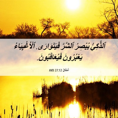 Picture 06 - أَمْثَالٌ 27:12 AVD - ٱلذَّكِيُّ يُبْصِرُ - Bible Verse Picture