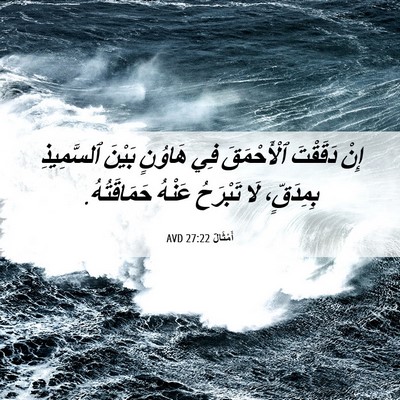 Picture 06 - أَمْثَالٌ 27:22 AVD - إِنْ دَقَقْتَ ٱلْأَحْمَقَ - Bible Verse Picture