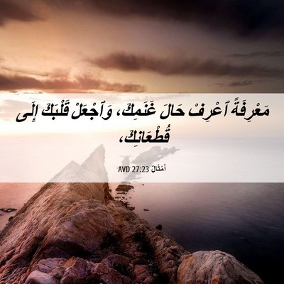 Picture 06 - أَمْثَالٌ 27:23 AVD - مَعْرِفَةً ٱعْرِفْ حَالَ - Bible Verse Picture