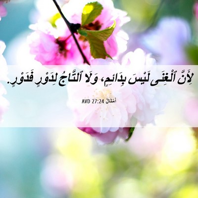 Picture 06 - أَمْثَالٌ 27:24 AVD - لِأَنَّ ٱلْغِنَى لَيْسَ - Bible Verse Picture