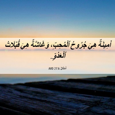 Picture 06 - أَمْثَالٌ 27:6 AVD - أَمِينَةٌ هِيَ جُرُوحُ - Bible Verse Picture