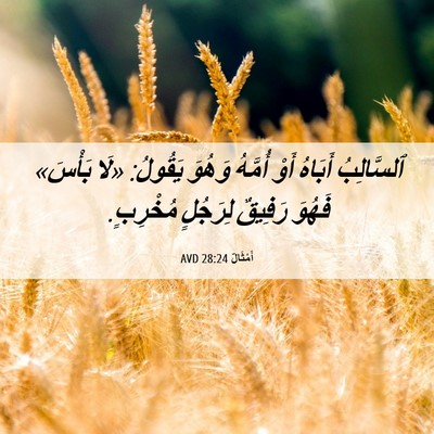 Picture 06 - أَمْثَالٌ 28:24 AVD - ٱلسَّالِبُ أَبَاهُ أَوْ - Bible Verse Picture