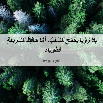 Picture 06 - أَمْثَالٌ 29:18 AVD - بِلَا رُؤْيَا يَجْمَحُ - Bible Verse Picture