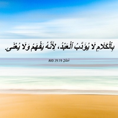 Picture 06 - أَمْثَالٌ 29:19 AVD - بِٱلْكَلَامِ لَا - Bible Verse Picture