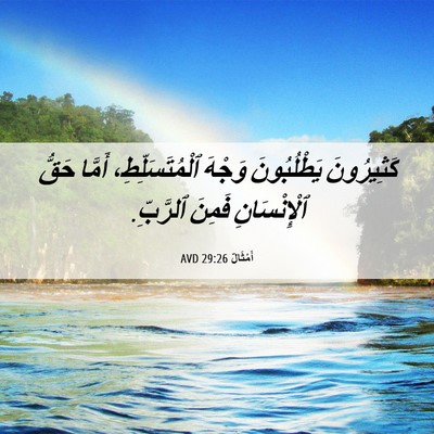 Picture 06 - أَمْثَالٌ 29:26 AVD - كَثِيرُونَ يَطْلُبُونَ - Bible Verse Picture