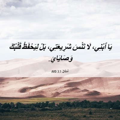 Picture 06 - أَمْثَالٌ 3:1 AVD - يَا ٱبْنِي، لَا تَنْسَ - Bible Verse Picture