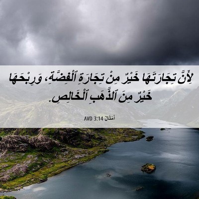 Picture 06 - أَمْثَالٌ 3:14 AVD - لِأَنَّ تِجَارَتَهَا - Bible Verse Picture